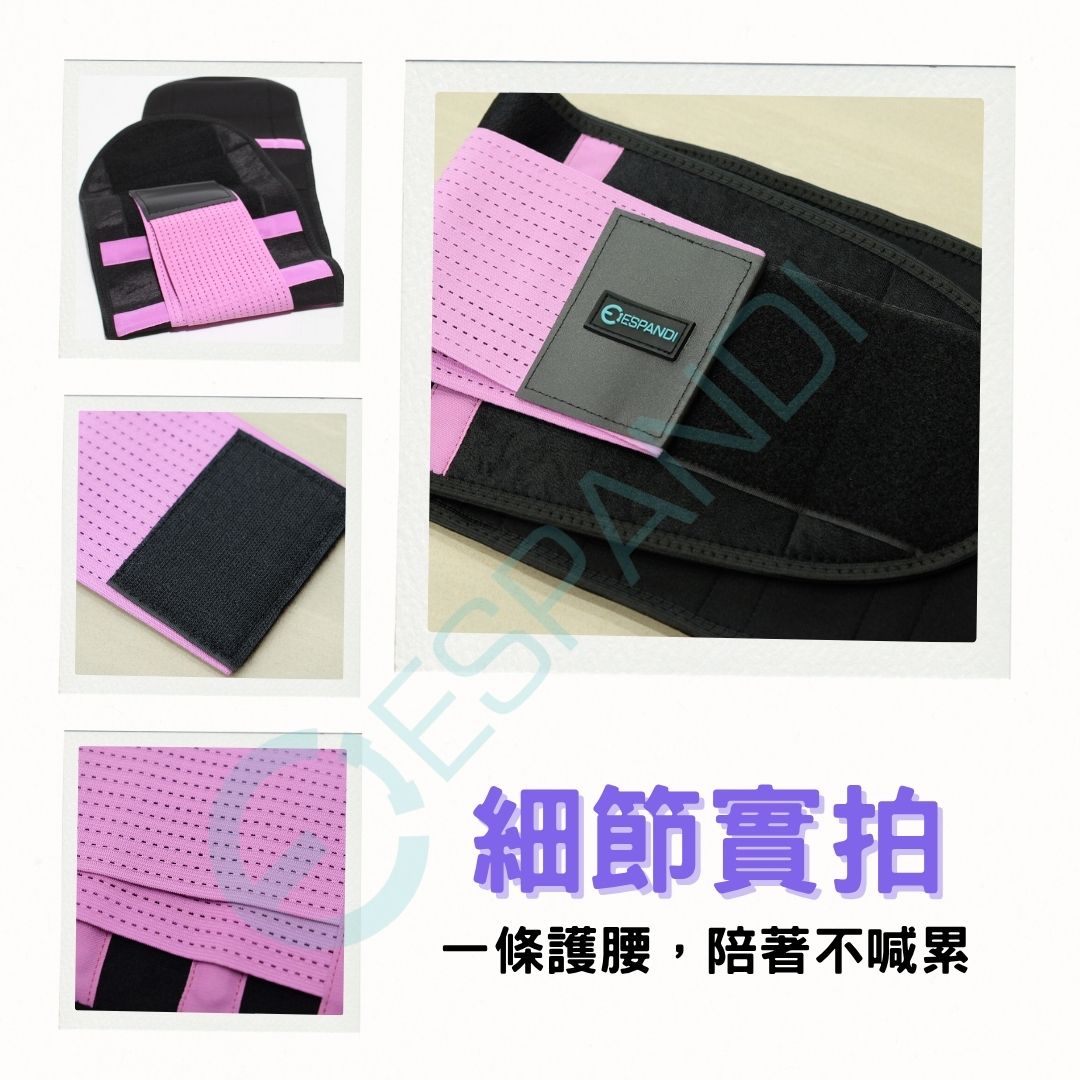 紫色護腰帶|亮眼配色,背部鋁條加強穩固 Purple lumbar support