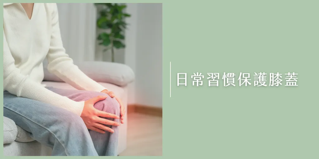 Espandi 護膝 登山健走膝蓋支撐 透氣護具