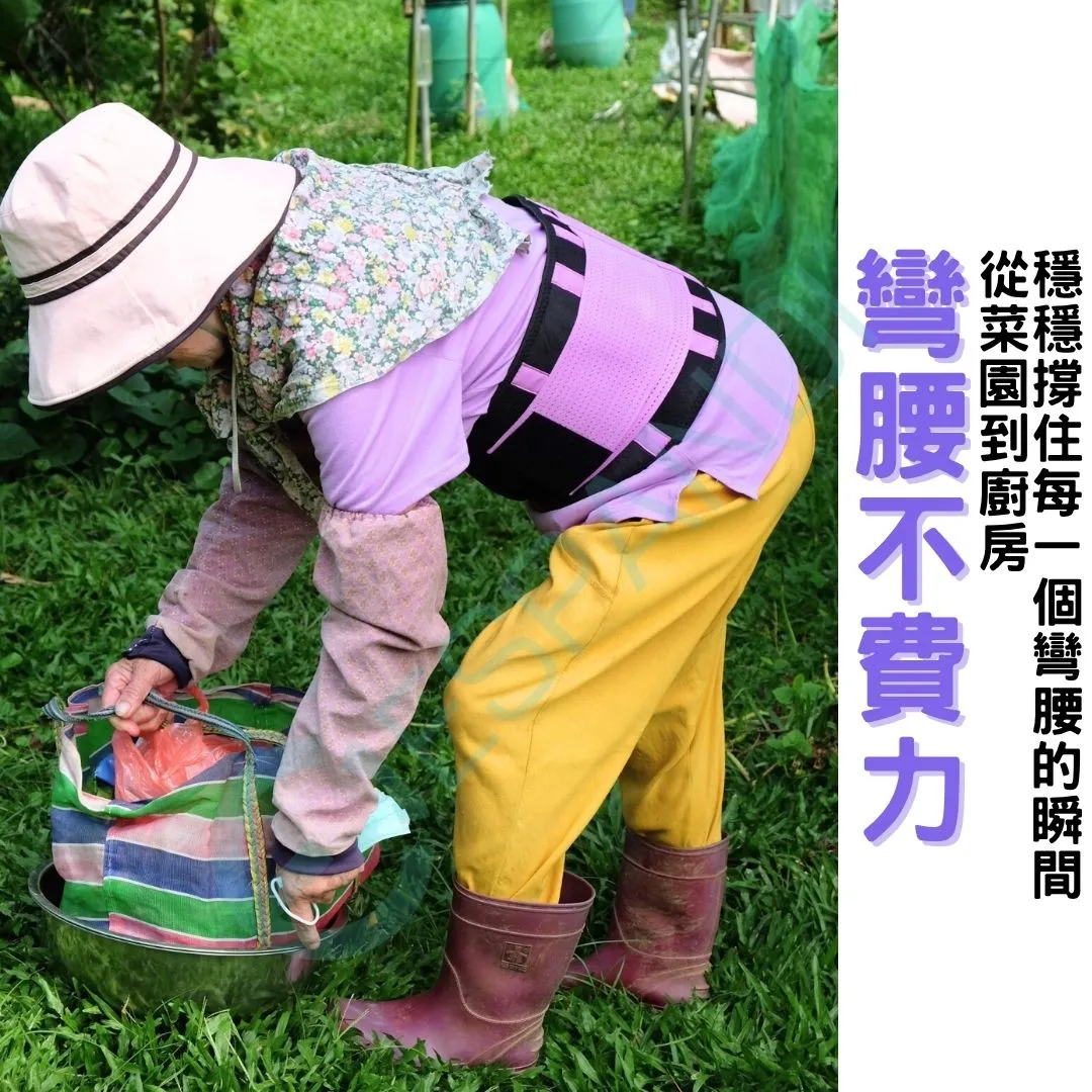 Espandi purple lumbar belt, steady support that stays wrapped and secure as you bend, suits outdoor farm work