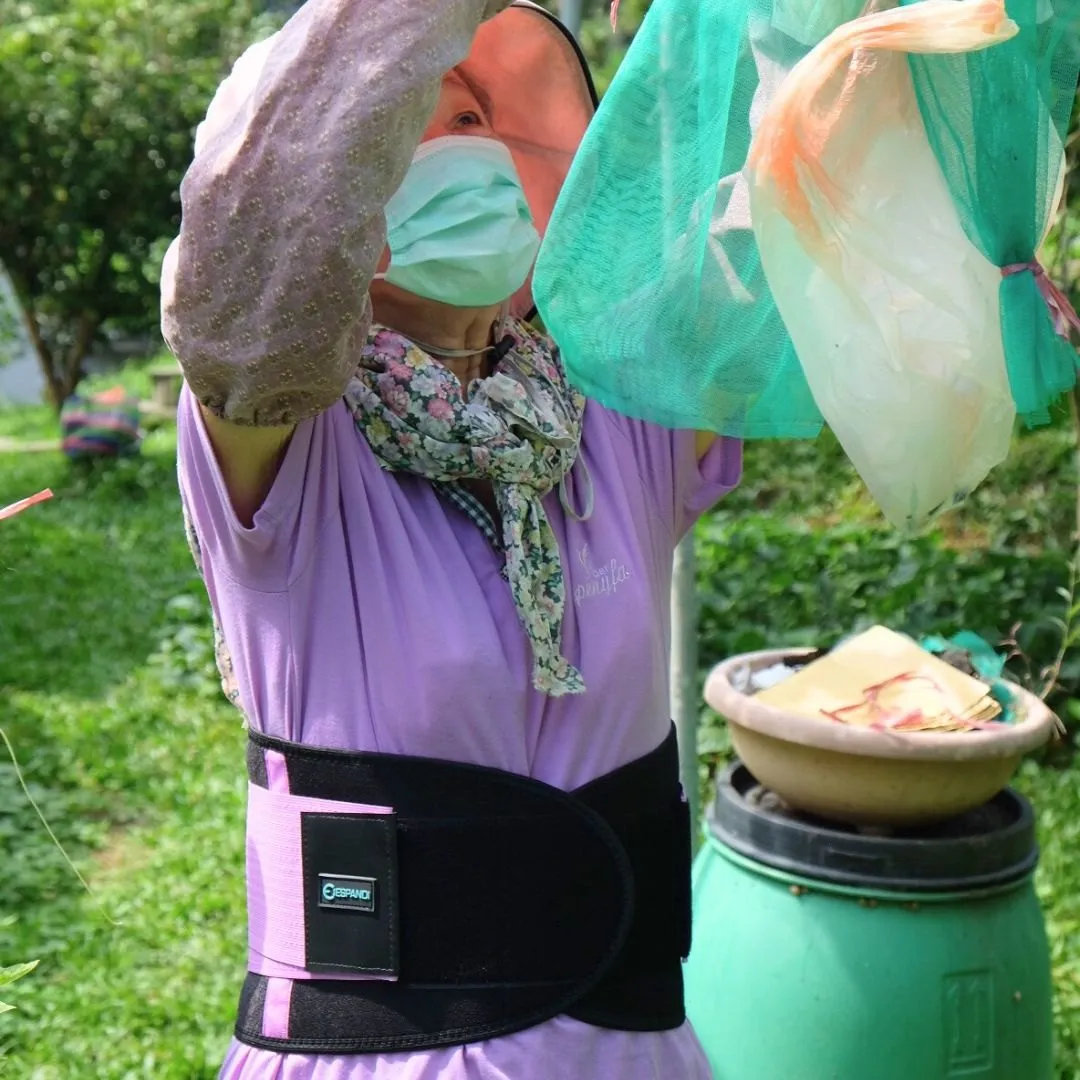 阿嬤在園子裡替果實套袋