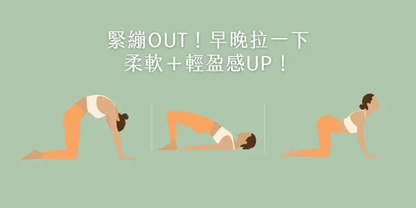 皮拉提斯拉力帶全身訓練 手臂肩膀核心同步訓練 居家健身