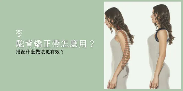 How to wear a shoulder and back support, with a suggested wearing time of two hours a day for everyday office use