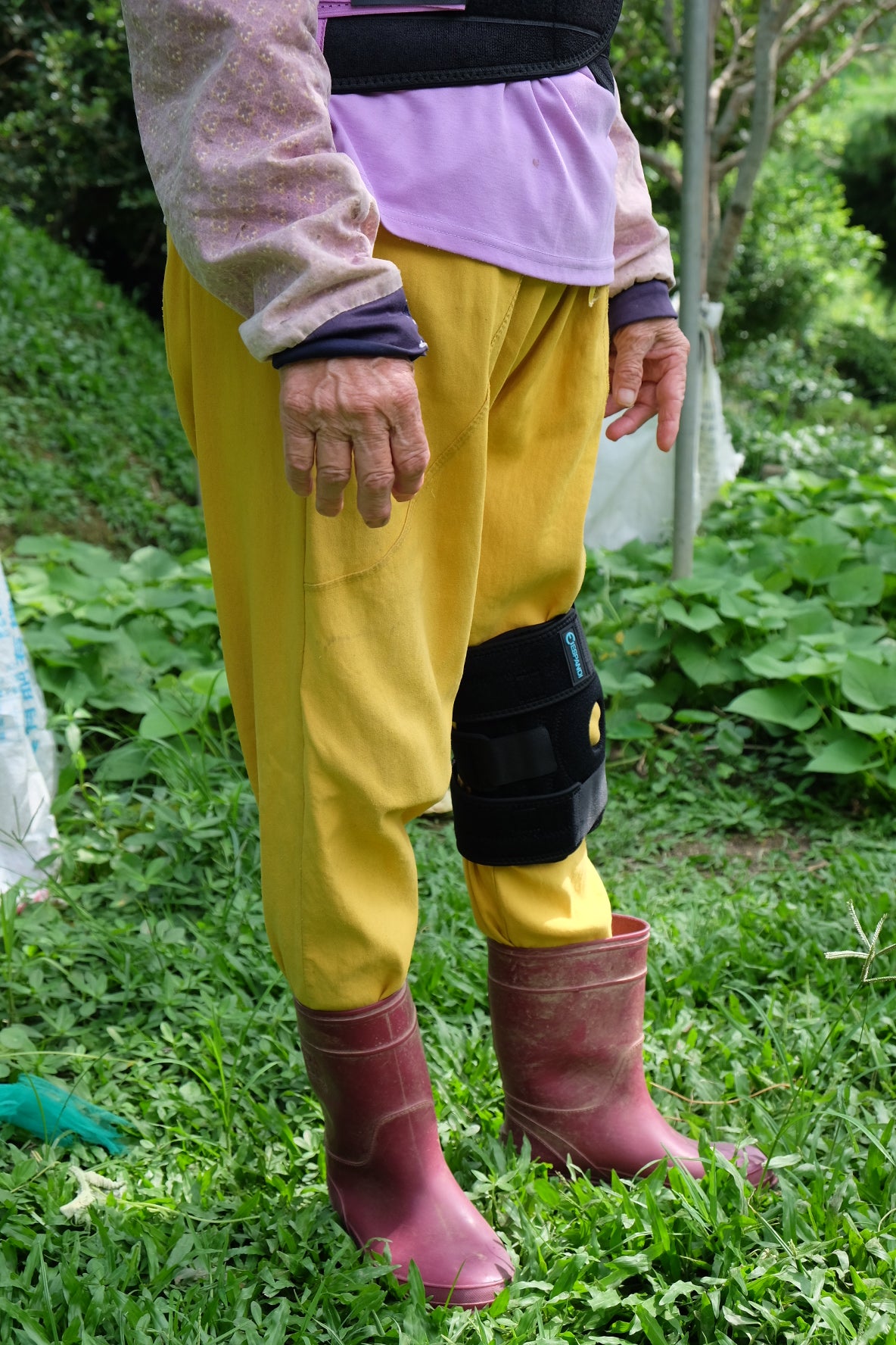 Espandi 護膝戶外農耕實穿 登山步道長時間行走適用