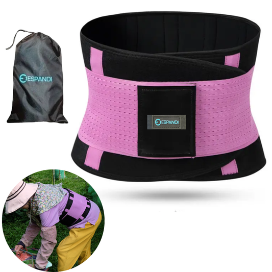【美國™】Espandi 紫色護腰帶 Purple lumbar support